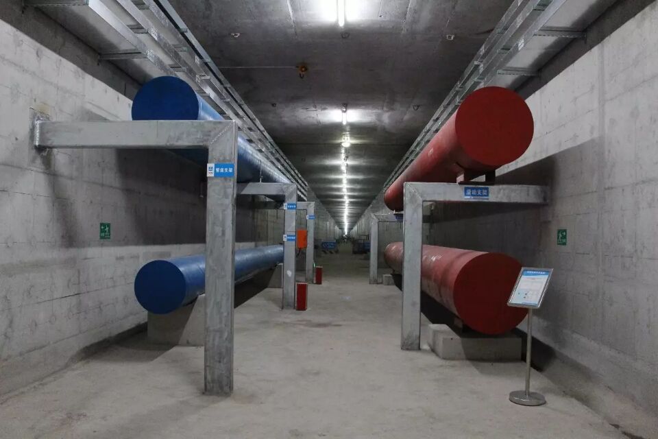 金狮贵宾会·宾至如归-尊贵显赫